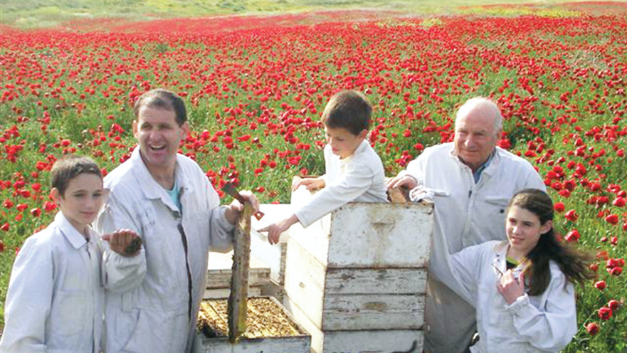 משפחת סורקין