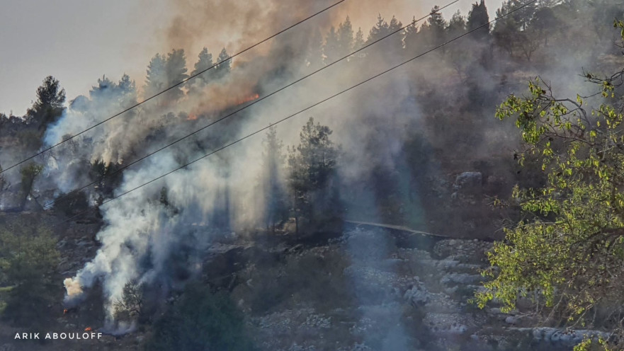השריפה באזור עמינדב