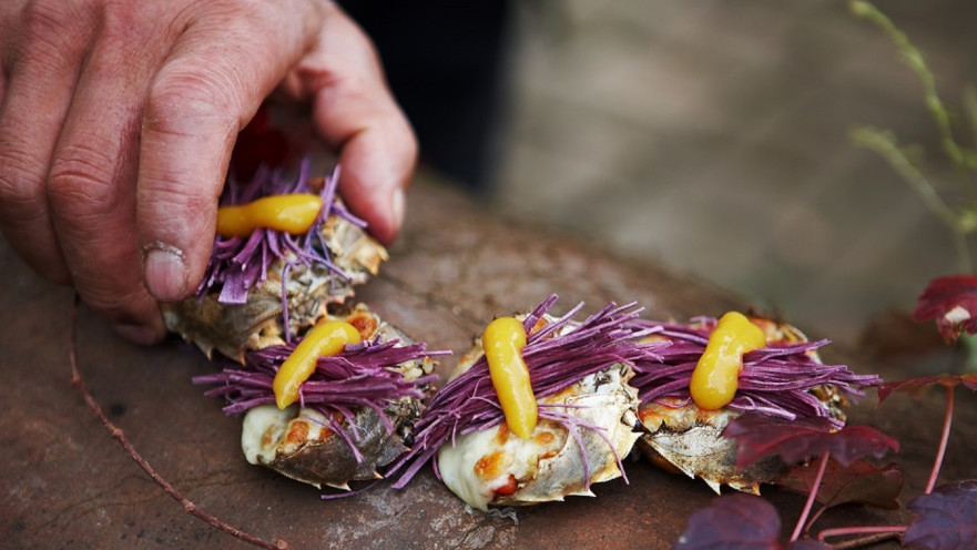 פסטיבל הסרטים חיפה- השף הנודד