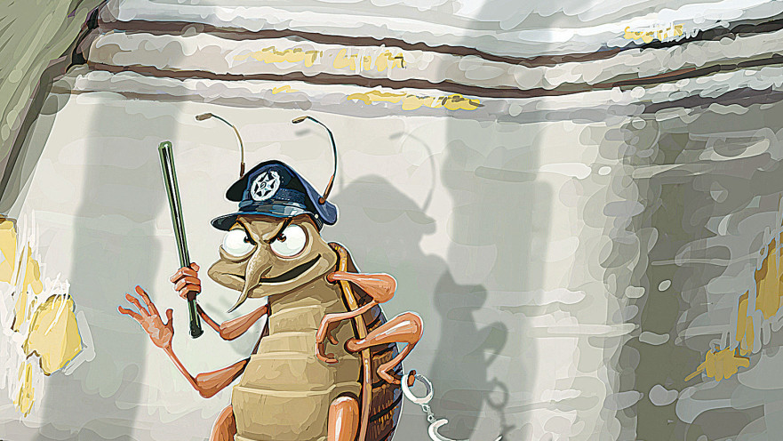 פשפש משטרתי