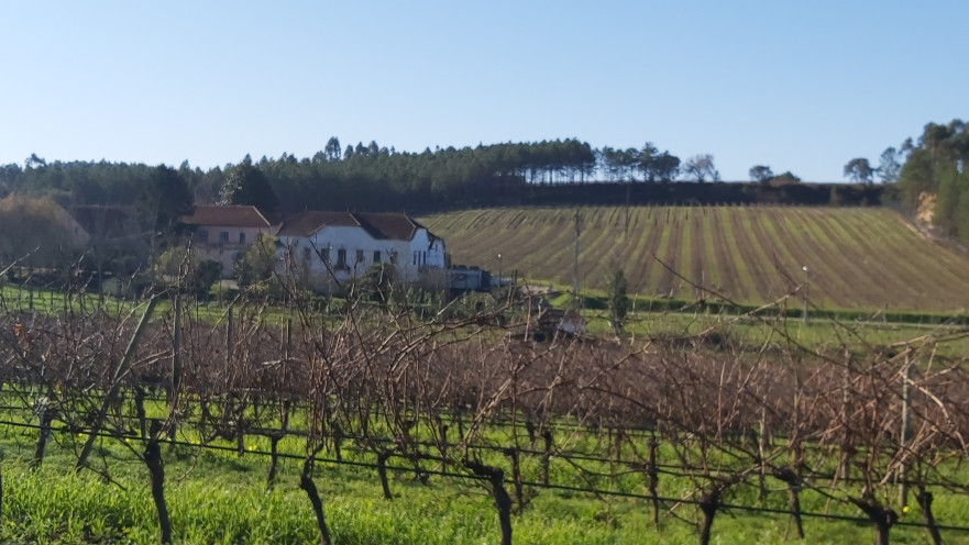 יקב פאטו, חבל באיחאדה, פורטוגל