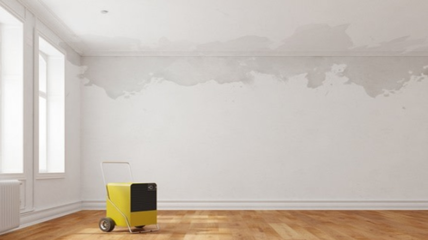 רטיבות בדירה