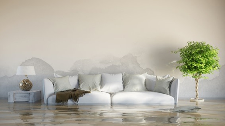 רטיבות בדירה