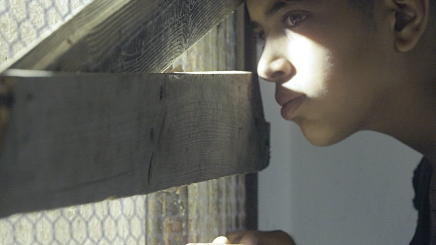 המתים של יפו