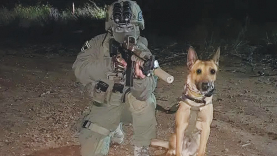 לוחם ימ"מ וכלבו 