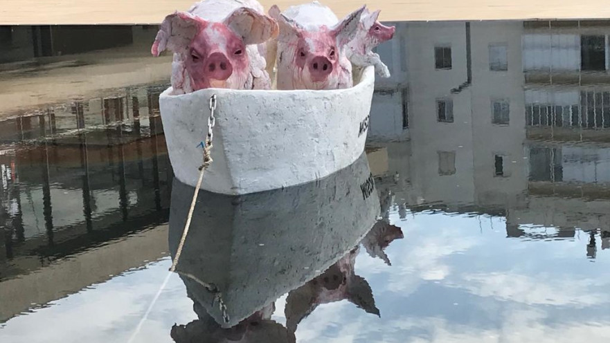 מיצג החזירים ברחבת הבימה בת"א 