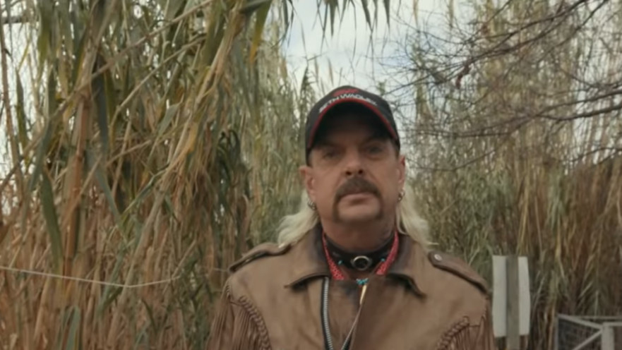 ג'ו אקזוטיק, טייגר קינג