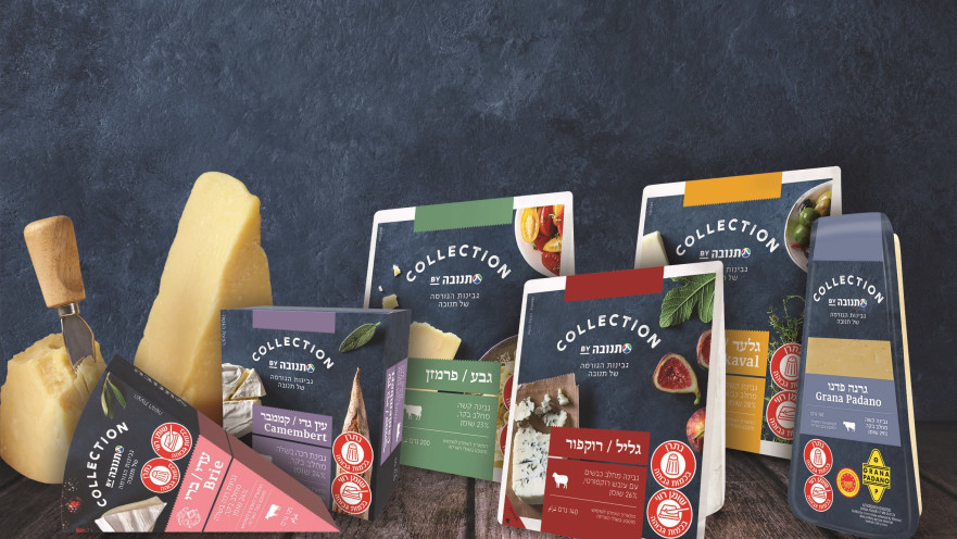 עולם של גבינות