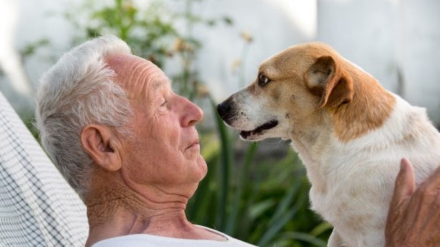 הזמן להגשים חלומות