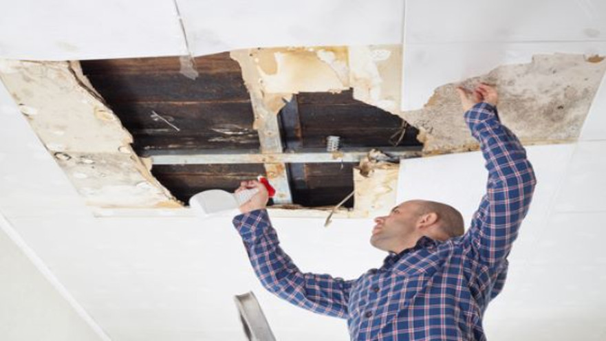 ליקויי רטיבות בדירה