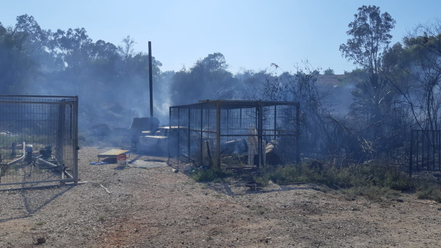 השריפה סמוך לחוף אמנון 