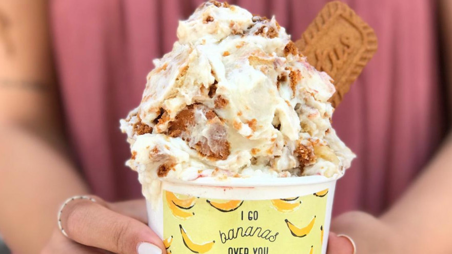 שואו רום- קולקציית פודינג