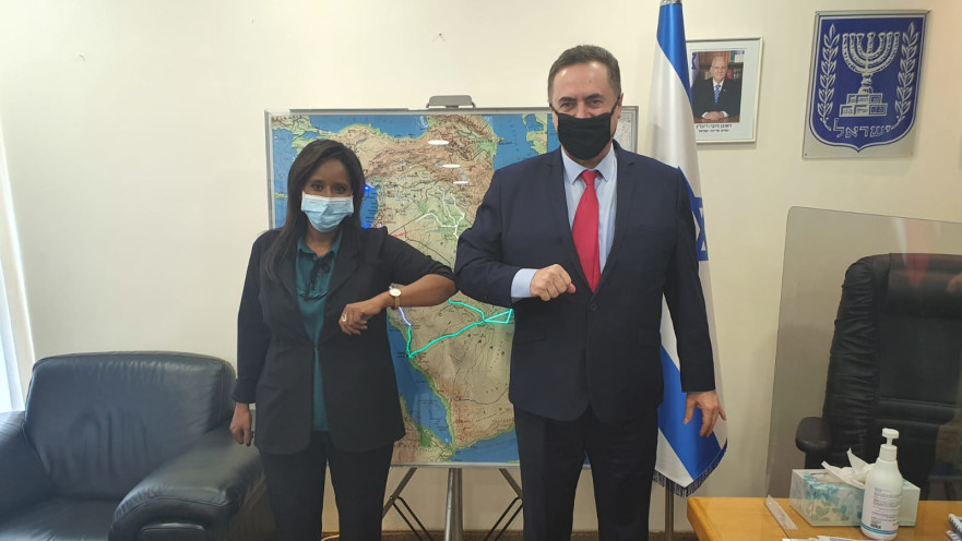 ישראל כ"ץ, פנינה תמנו שטה