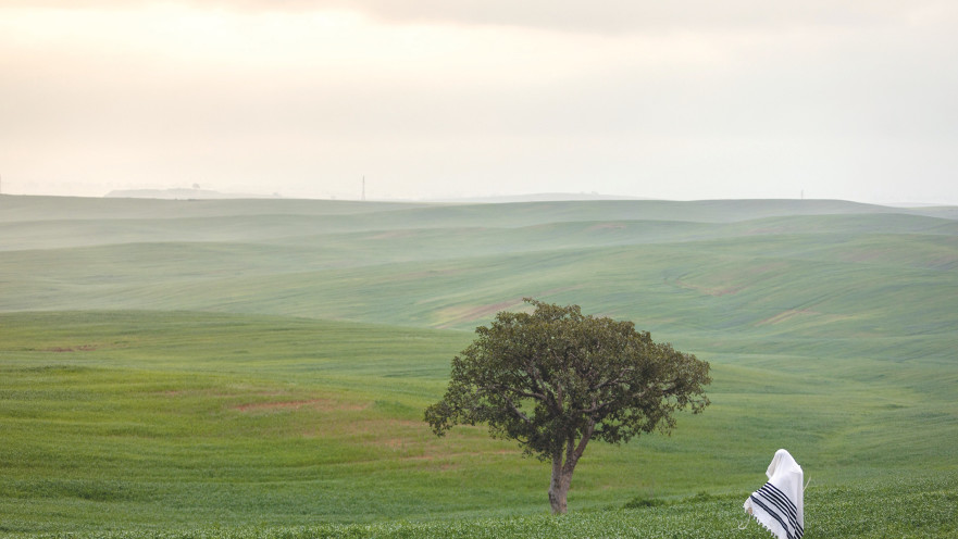 יהודי מתפלל
