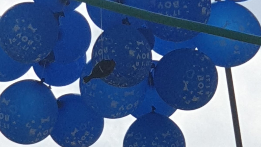 בלוני נפץ בעוטף עזה