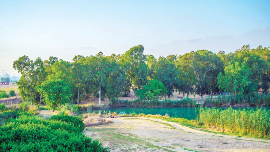 ירקון תל אפק