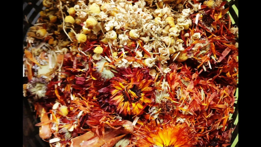 יום אחד זה יהיה וורמוט 