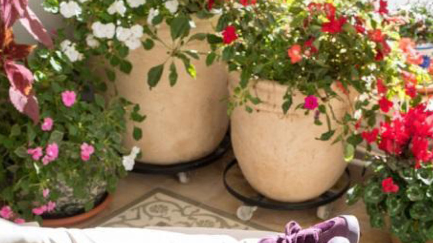 בשנה הבאה נשב על המרפסת