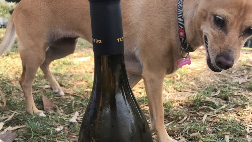 שרדונה טפרברג בפארק הירקון 