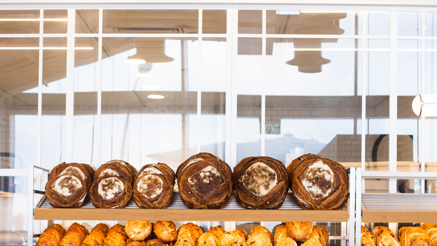 מייסון קייזר פתוחים לאיסוף