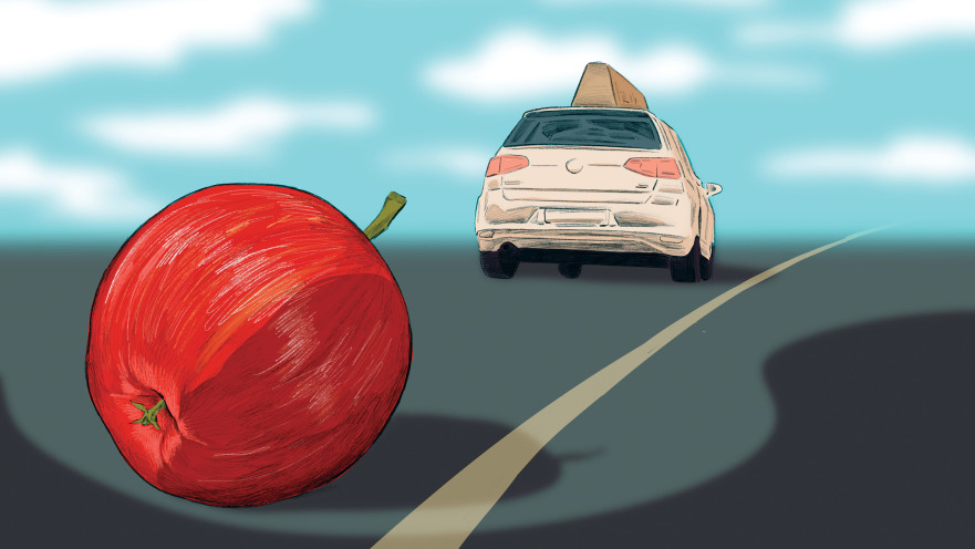 קריקטורה מרסל מוסרי