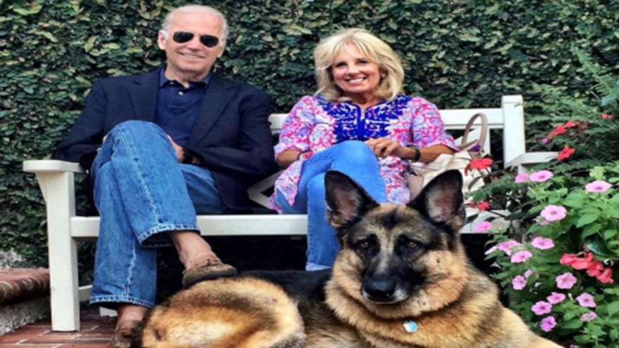 ג'ו וג'יל ביידן עם הכלב צ'אמפ