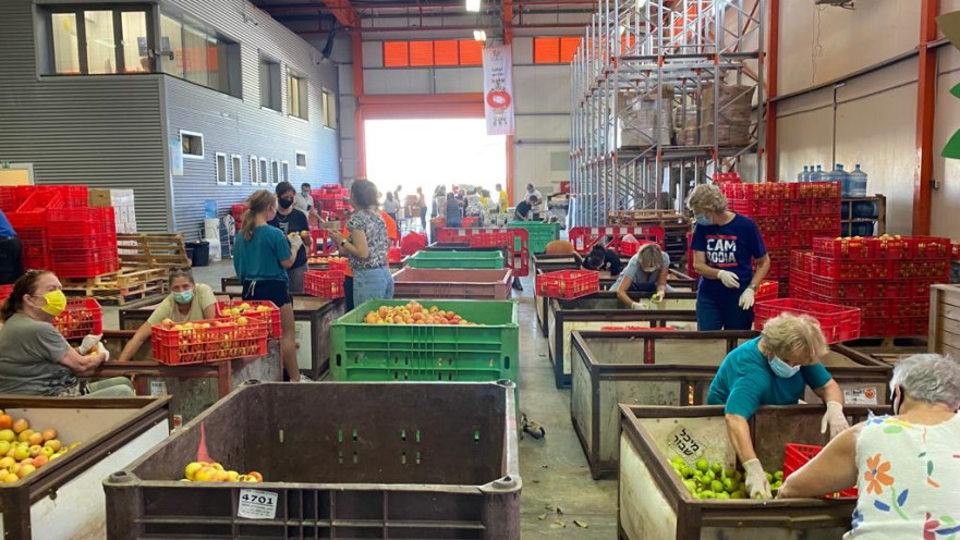 מרכז המתנדבים בקורונה