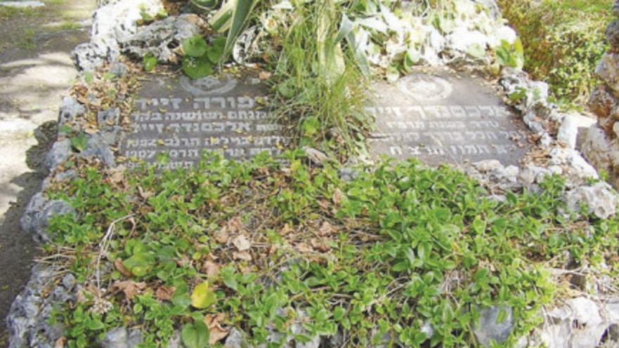 קברם של אלכסנדר זייד ואשתו