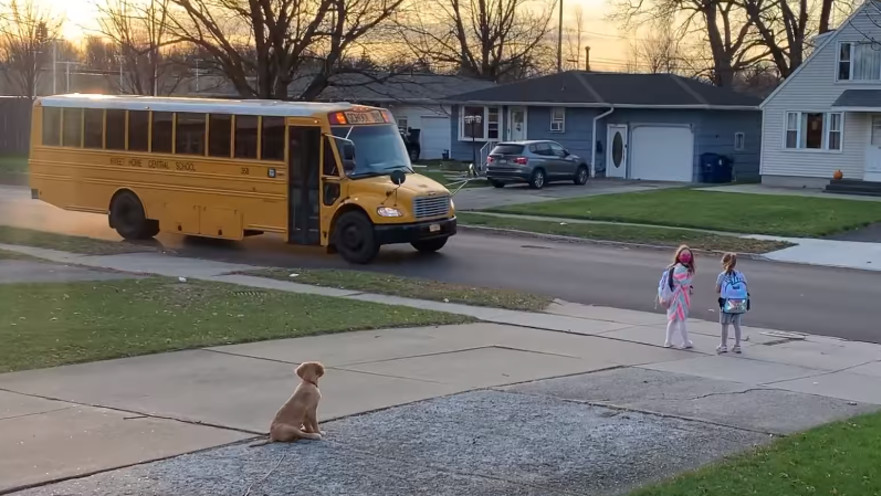 בנטלי, הגולדן רטריבר האחראי