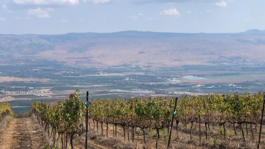 כרם משגב עם, יקב הרי גליל 