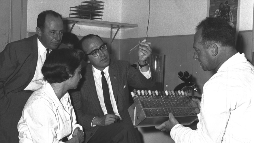 יונס סאלק, ממציא חיסון הפוליו