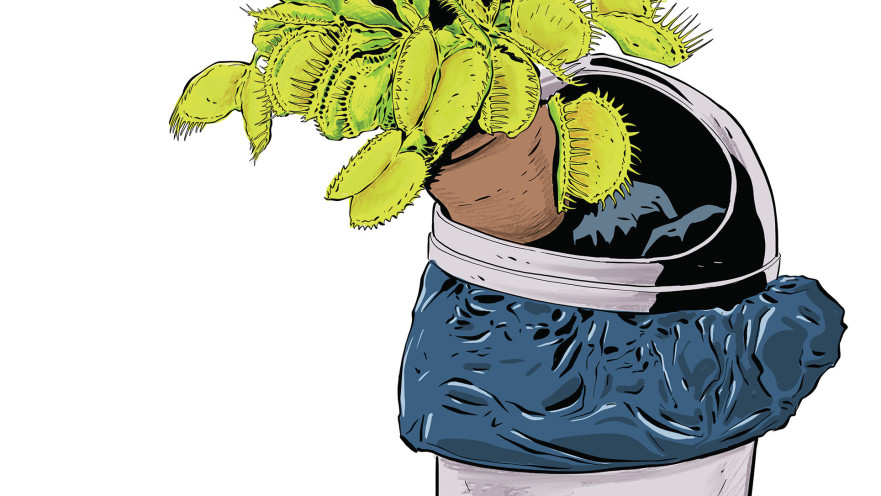 איור של אורי פינק