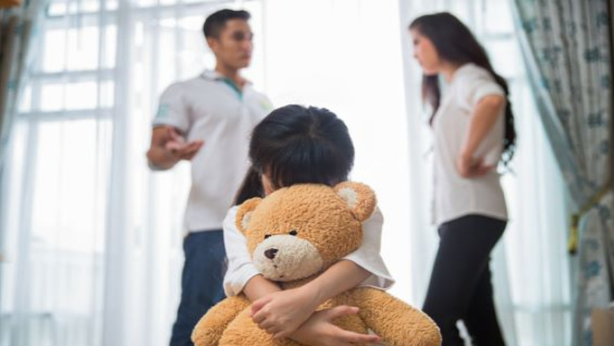 סכסוך משמורת