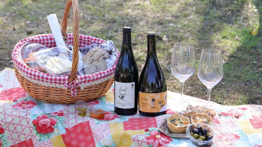 יקב כרם ברק, פיקניק בהרי יהודה 