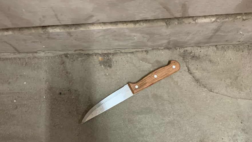 הסכין אותה שלף המפגע בניסיונו לבצע פיגוע במערת המכפלה בחברון