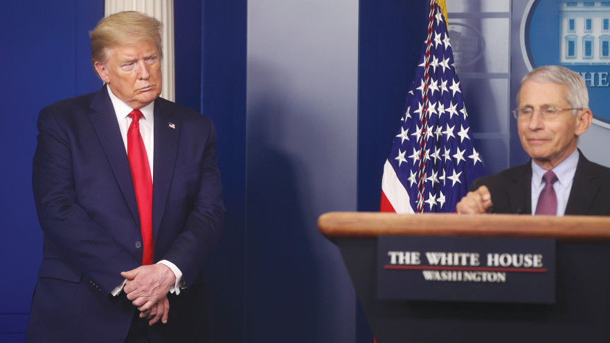 פאוצ'י וטראמפ 