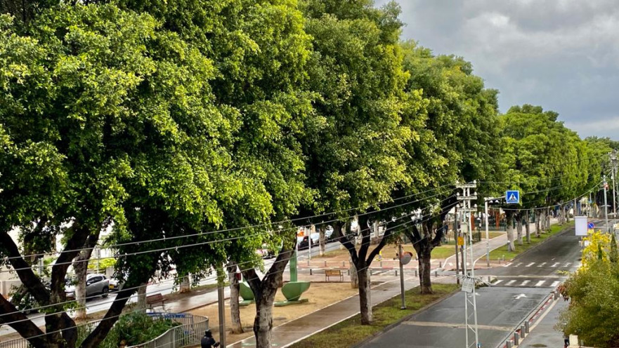 תל אביב במהלך ימי הסגר, ארכיון (