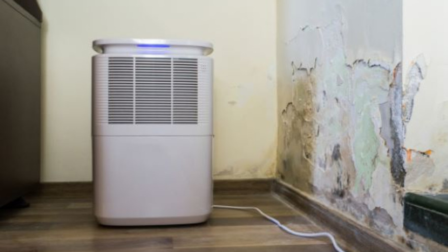 רטיבות בדירה