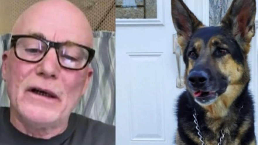 בריאן והכלבה סיידי