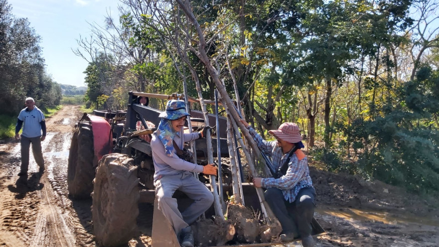 מבצע הצלת העצים בגוש דן