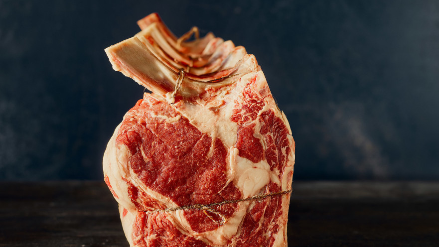 חוות הבוקרים