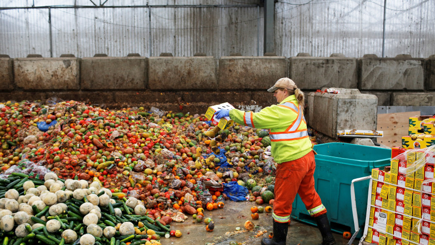 מזון שנזרק לפח