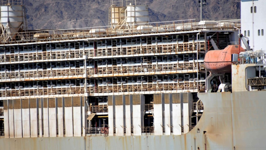 אניית משלוחים חיים