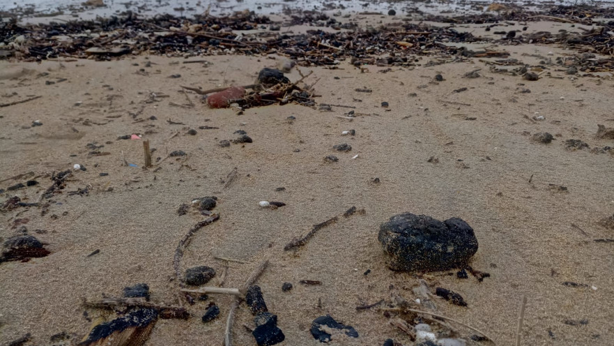 הזפת שנפלטה מהים בחופי חוף הכרמל