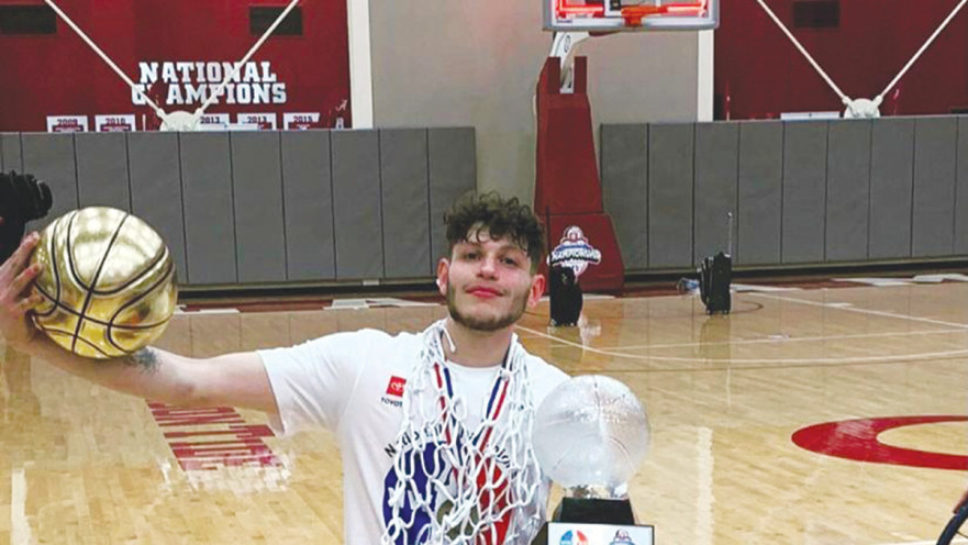 עמית ויגודה