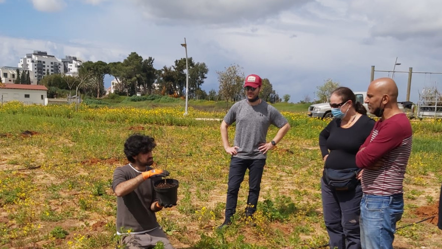עובדי נטפים בנטיעת יער האקלים הראשון בכפר סבא