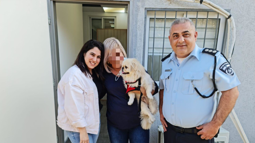 הכלב הגנוב הוחזר לחיק המשפחה