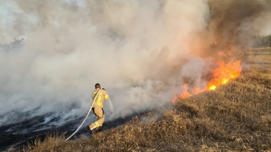 שריפה כתוצאה מבלוני תבערה בעוטף עזה