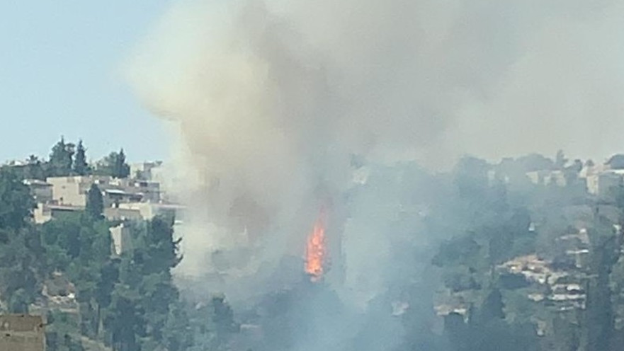 שריפה במבשרת ציון