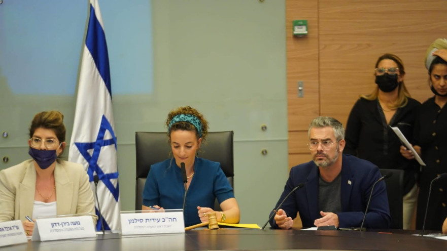 הדיון בוועדה המסדרת